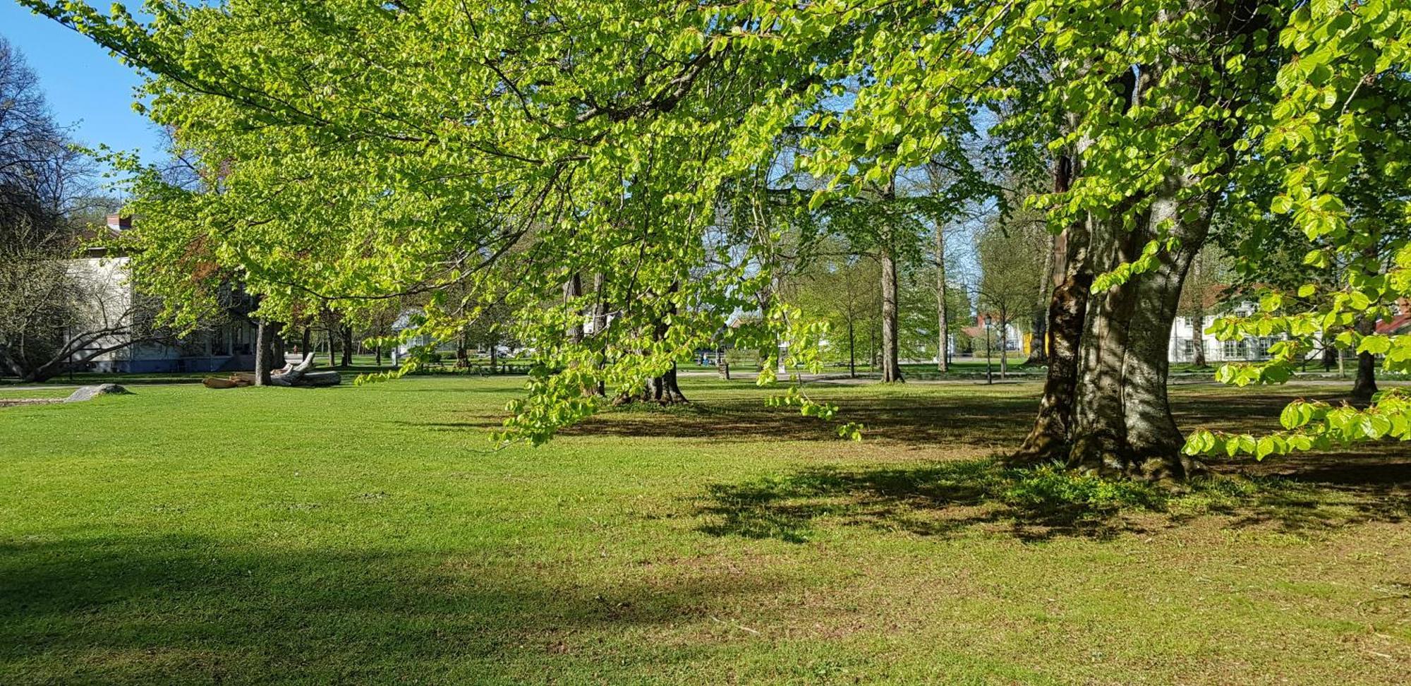 Moessebergs Vandrarhem Falköping Екстериор снимка